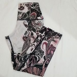 Evolution and Creation